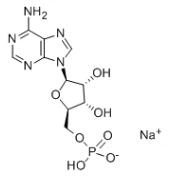 Adenosin 5'-monofosfát sodná sůl CAS 13474-03-8
