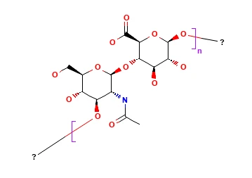 Kyselina hyaluronová CAS 9004-61-9